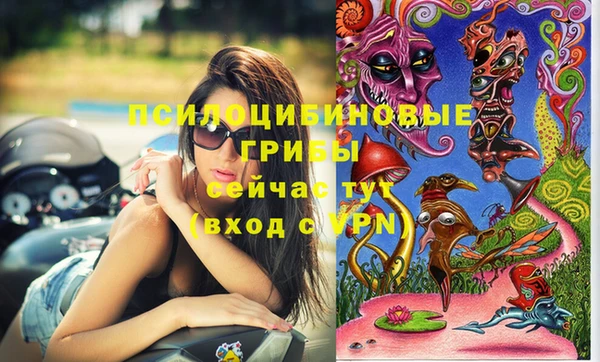 дурь Аркадак