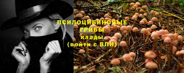 2c-b Армянск