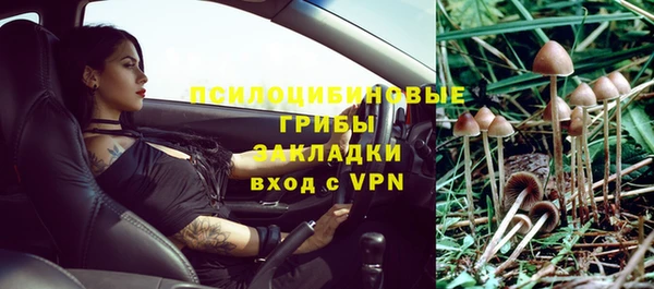 мескалин Арсеньев