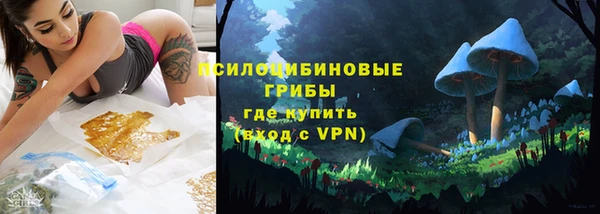 дурь Аркадак
