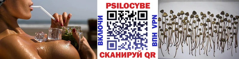 Галлюциногенные грибы Psilocybine cubensis  Приморско-Ахтарск 